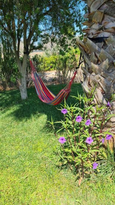 Villa Delle Stelle Con Piscina Leverano Ngoại thất bức ảnh